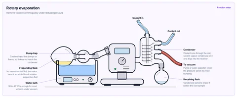 Rotary evaporation template: Rotating flask in a warm water bath, bump trap, motor and condenser, receiving flask, vacuum line. University / A-level.