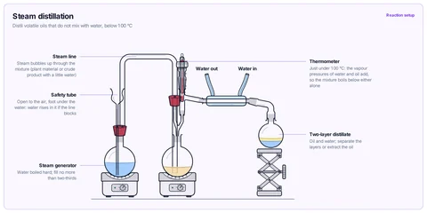 Steam distillation template: Steam generator with a safety tube, steam line into the mixture through a Claisen adapter, still head, condenser and receiver.