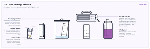 TLC: spot, develop, visualise template: Spotting capillary touching the pencil baseline of a TLC plate beside the sample vial, covered developing chamber, UV lamp (254 nm) over the developed plate, and a KMnO₄ staining jar.
