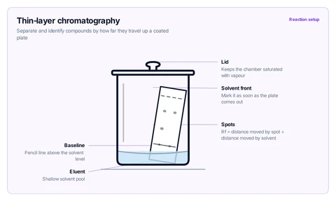 Thin-layer chromatography template: TLC plate in a covered developing chamber, with baseline, spots and solvent front, and the Rf formula.