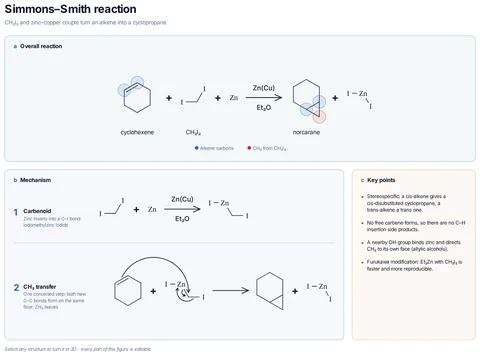 Simmons–Smith reaction template: Zinc inserts into CH₂I₂ to form the carbenoid ICH₂ZnI; it delivers CH₂ to both alkene carbons in one step (a butterfly transition state), so the alkene geometry is kept.