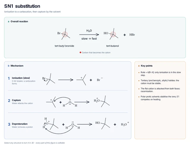 SN1 substitution template preview