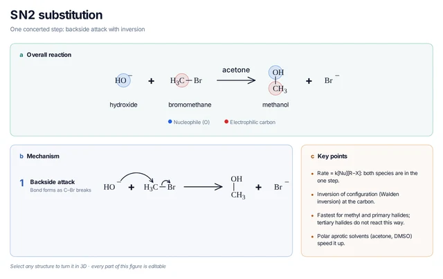 SN2 substitution template preview