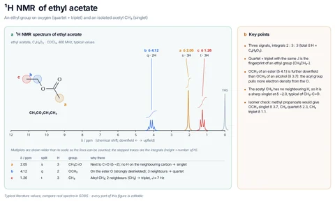 ¹H NMR of ethyl acetate template preview
