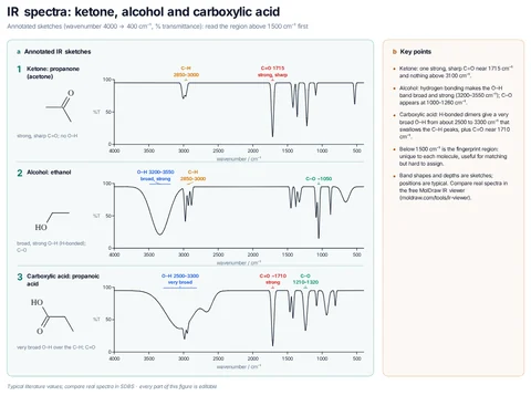 IR spectra: ketone, alcohol and carboxylic acid template preview