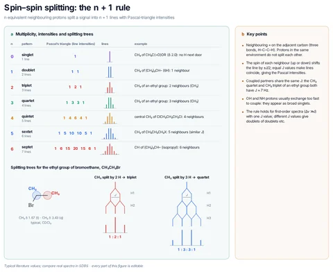 Spin–spin splitting: the n + 1 rule template preview