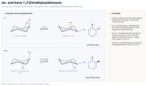cis- and trans-1,2-Dimethylcyclohexane template preview
