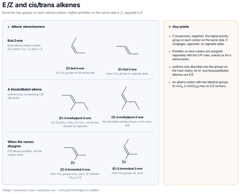 E/Z and cis/trans alkenes template preview