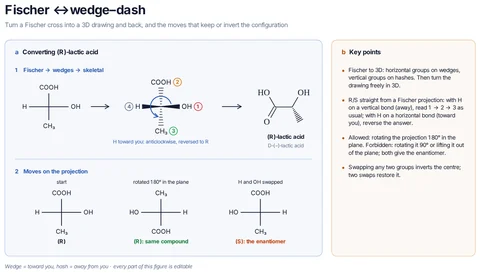 Fischer ↔ wedge–dash template preview