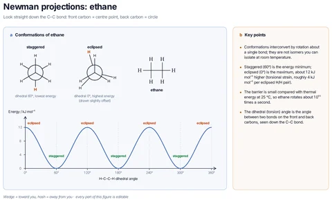Newman projections: ethane template preview