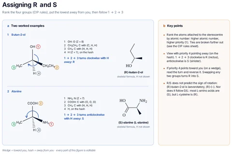 Assigning R and S template preview