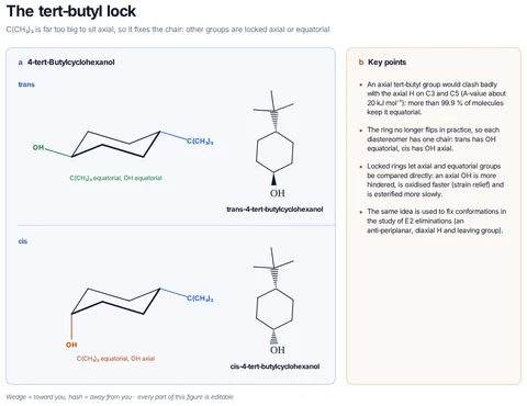 The tert-butyl lock template preview