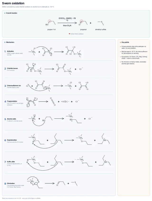 Swern oxidation mechanism template