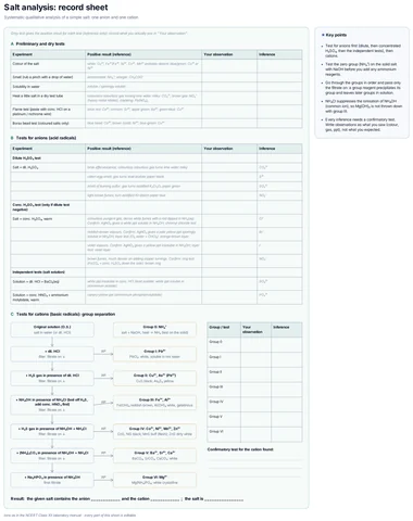 Salt analysis record sheet template preview