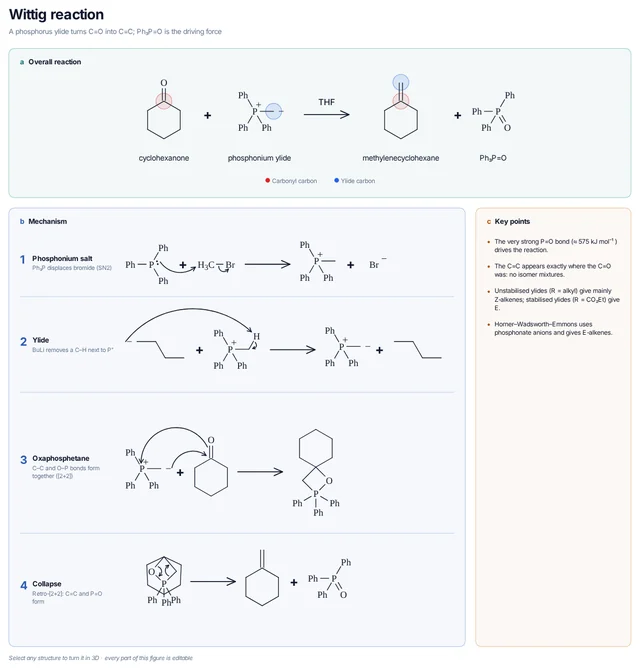 Wittig reaction mechanism template
