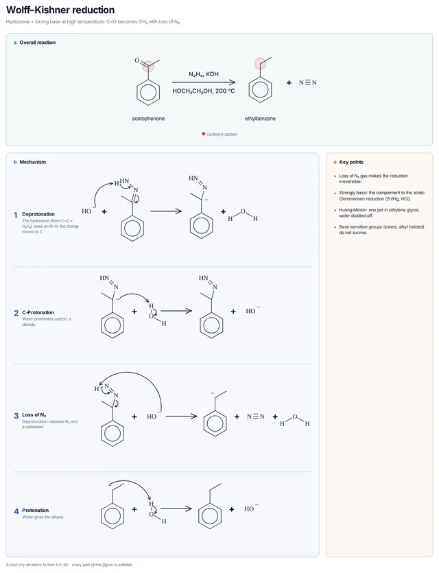 Wolff–Kishner reduction mechanism template